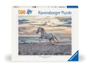 Cheval sur la plage - 500p