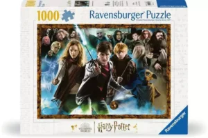 Harry Potter et les sorciers - 1000p