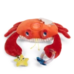 Grand crabe d'activités