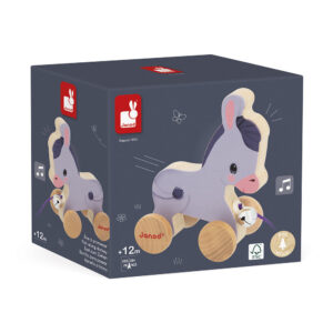 Âne à promener Ferme