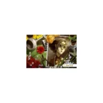 mysterium-extension-secret-lies-vf