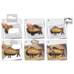 pochoirs-artistiques-geants-les-peintures-rupestres2